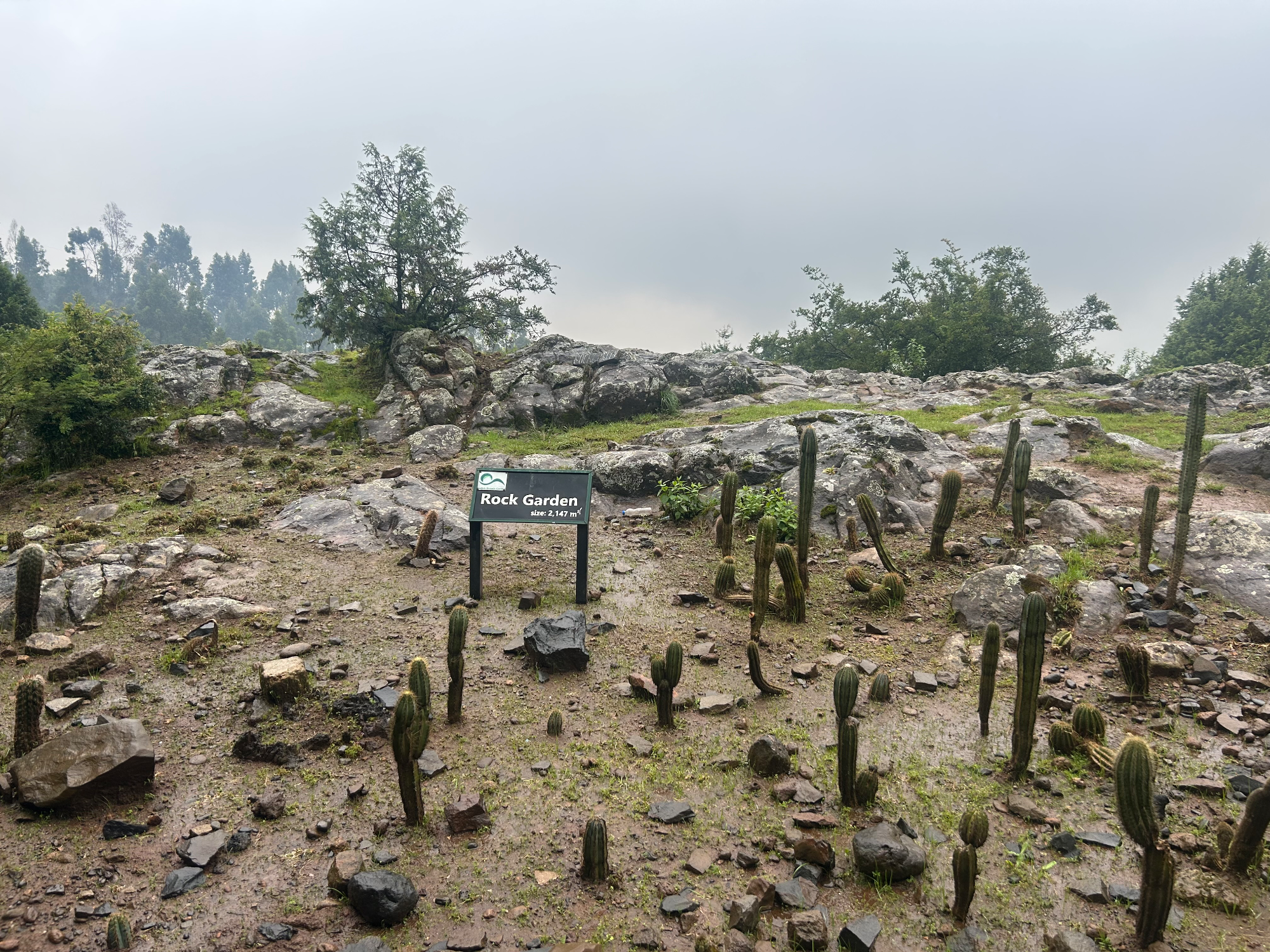 Rock Garden